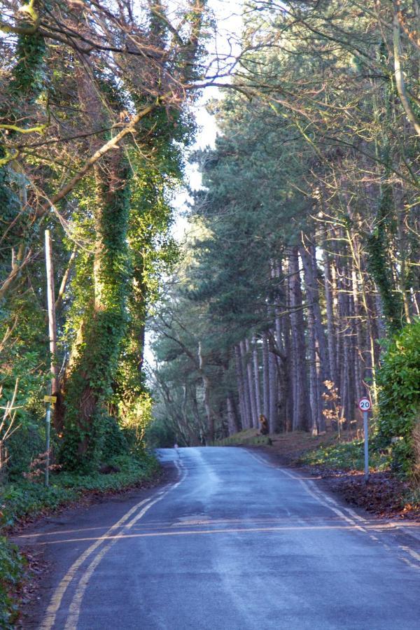 مبيت وإفطار Formby Pinewood Studio المظهر الخارجي الصورة